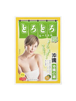 日本製 とろとろローション極 沖縄の湯（沖縄）【おとなの安心通販】